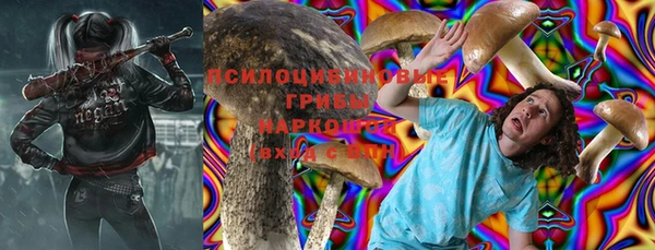 прущие грибы Вязники